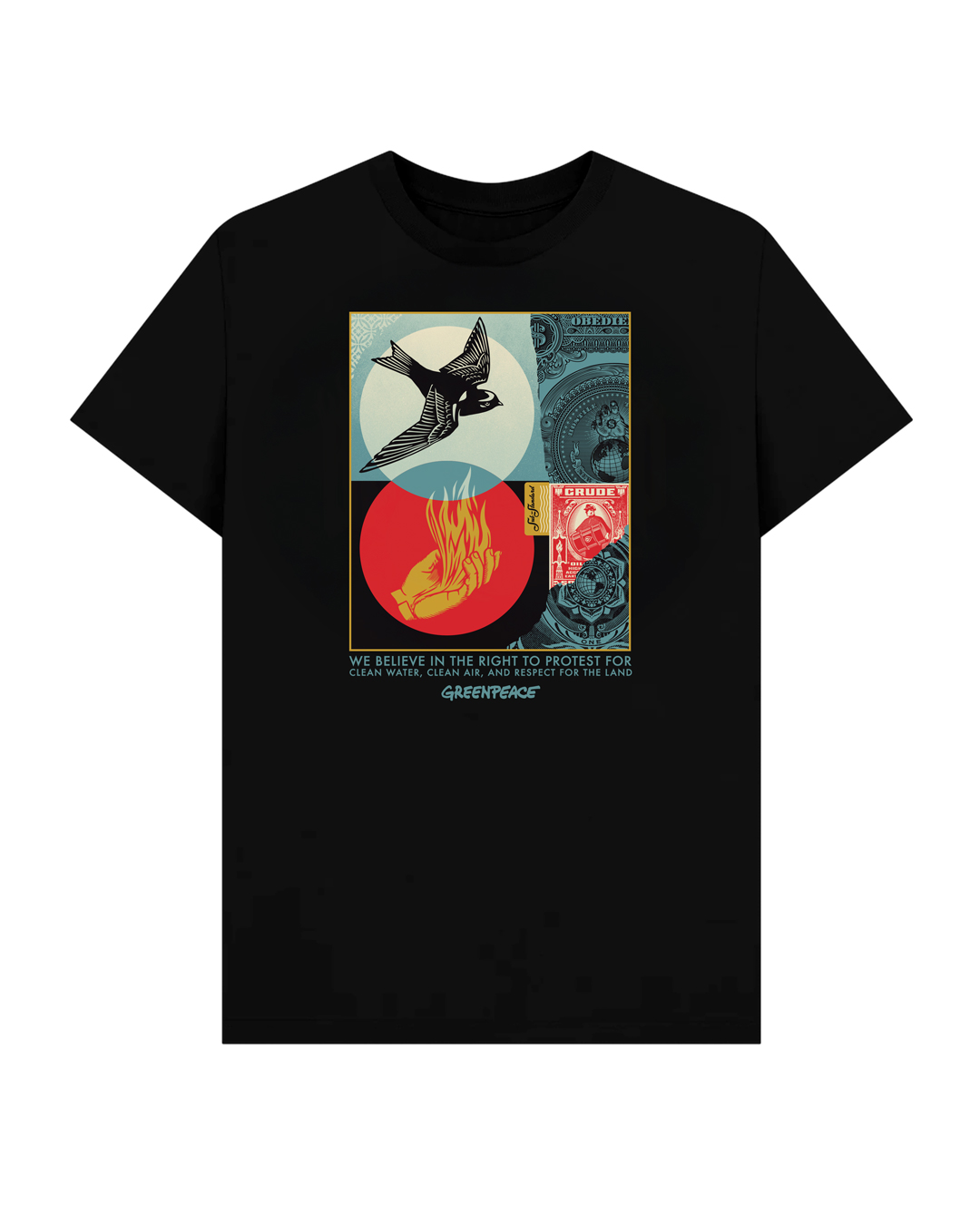 A black t-shirt featuring a graphic design with a bird, a hand holding fire, and text: WE BELIEVE IN THE RIGHT TO PROTEST&hellip;