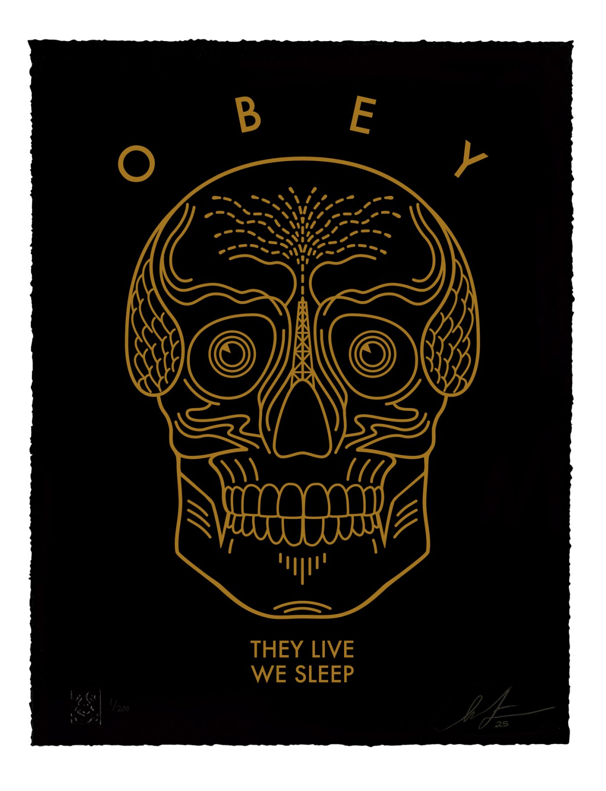 Gold line art skull with OBEY above and They Live We Sleep below on a black background.